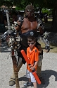SFaire_2013 (1)